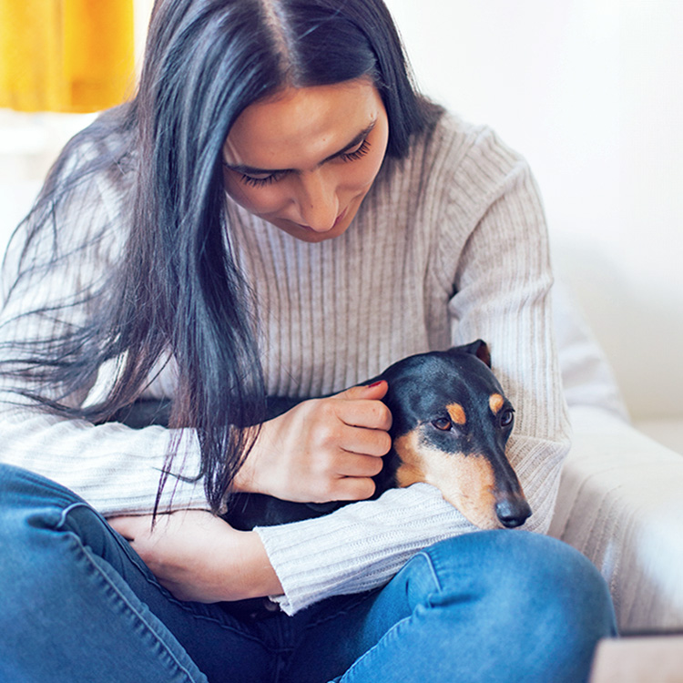 10 Common Reasons Why Your Dog Throws Up in the Morning · Kinship