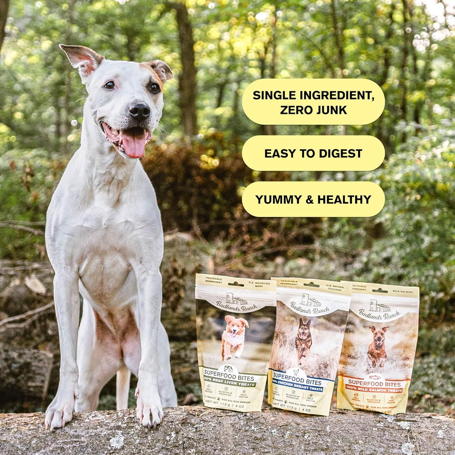 Superfood Bite, Freeze-Dried Raw Dog Treats – Protein Rich, Train & Reward, Traceable Single Ingredient by Katherine Heigl (Beef Liver)