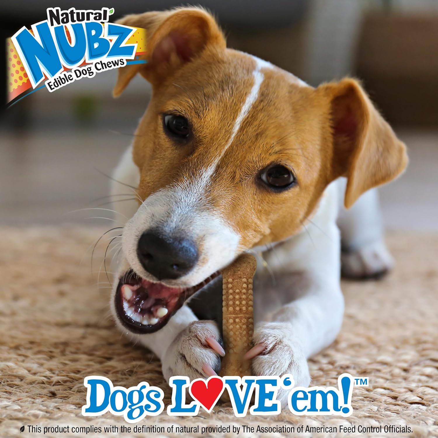 Nylabone Nubz Natural Edible Chew Treats for Dogs, Long Lasting Chews Made in USA, Chicken Flavor, Small – Up to 25 lbs. (36 Count)