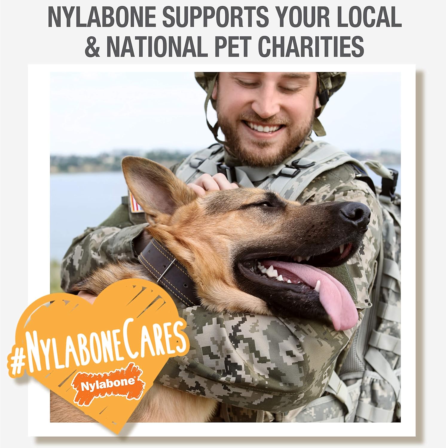 Nylabone Nubz Natural Edible Chew Treats for Dogs, Long Lasting Chews Made in USA, Chicken Flavor, Small – Up to 25 lbs. (36 Count)