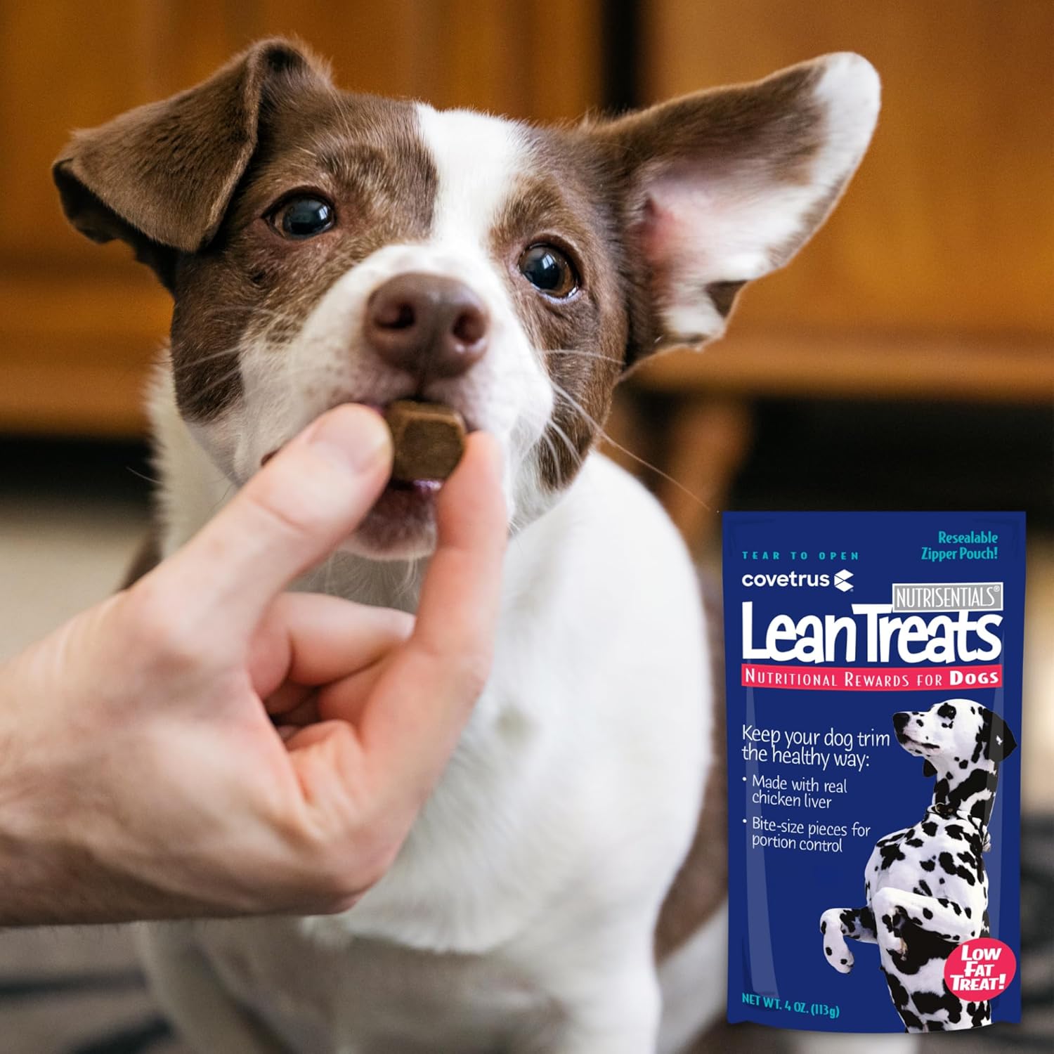 Nutrisential Lean Treats for Dogs – Soft Dog Treats for Small & Medium Dogs – Nutritional Low Fat Bite Size K9 Treats – Chicken Flavor – 10 Pack – 4oz