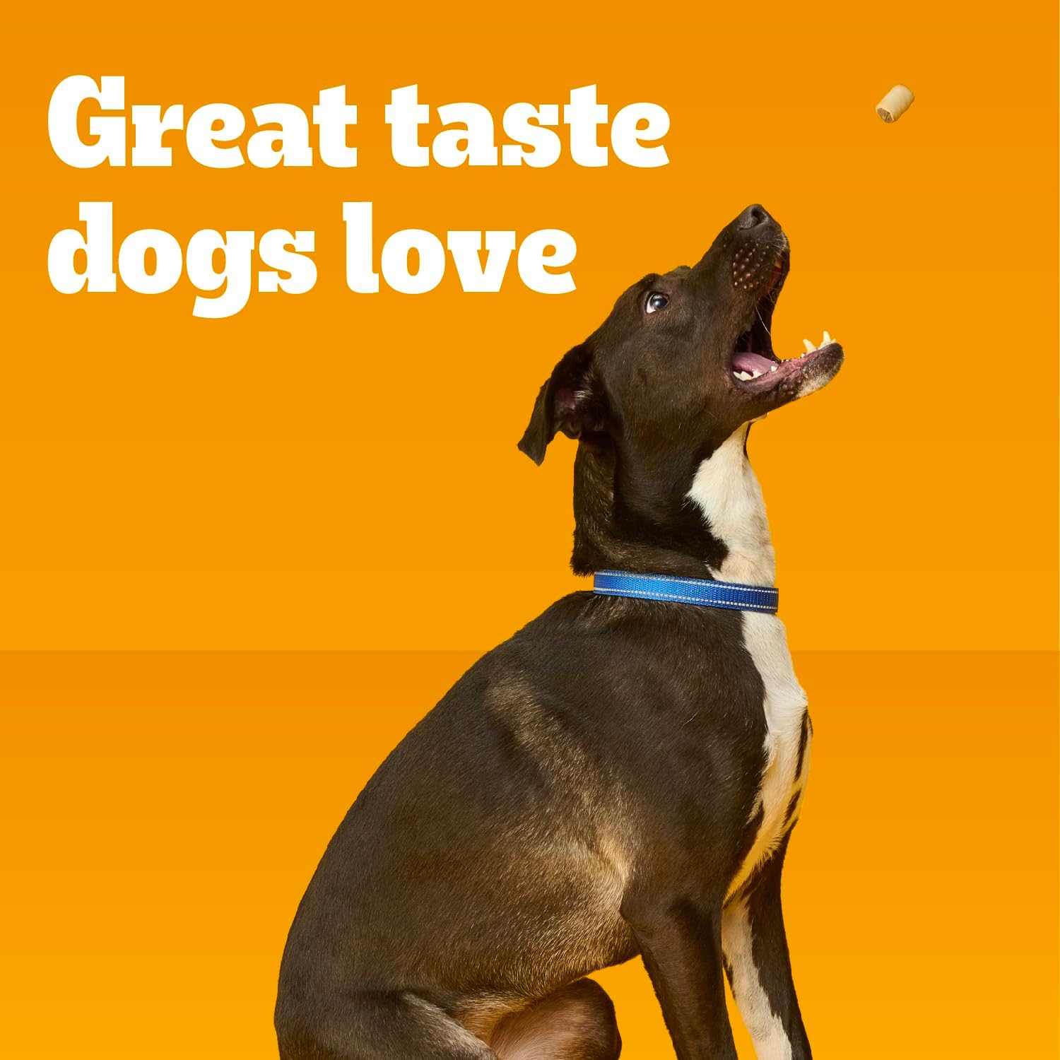 Pedigree Dry Dog Treats MarroBone Real Beef Flavor, 6 lb. Bag