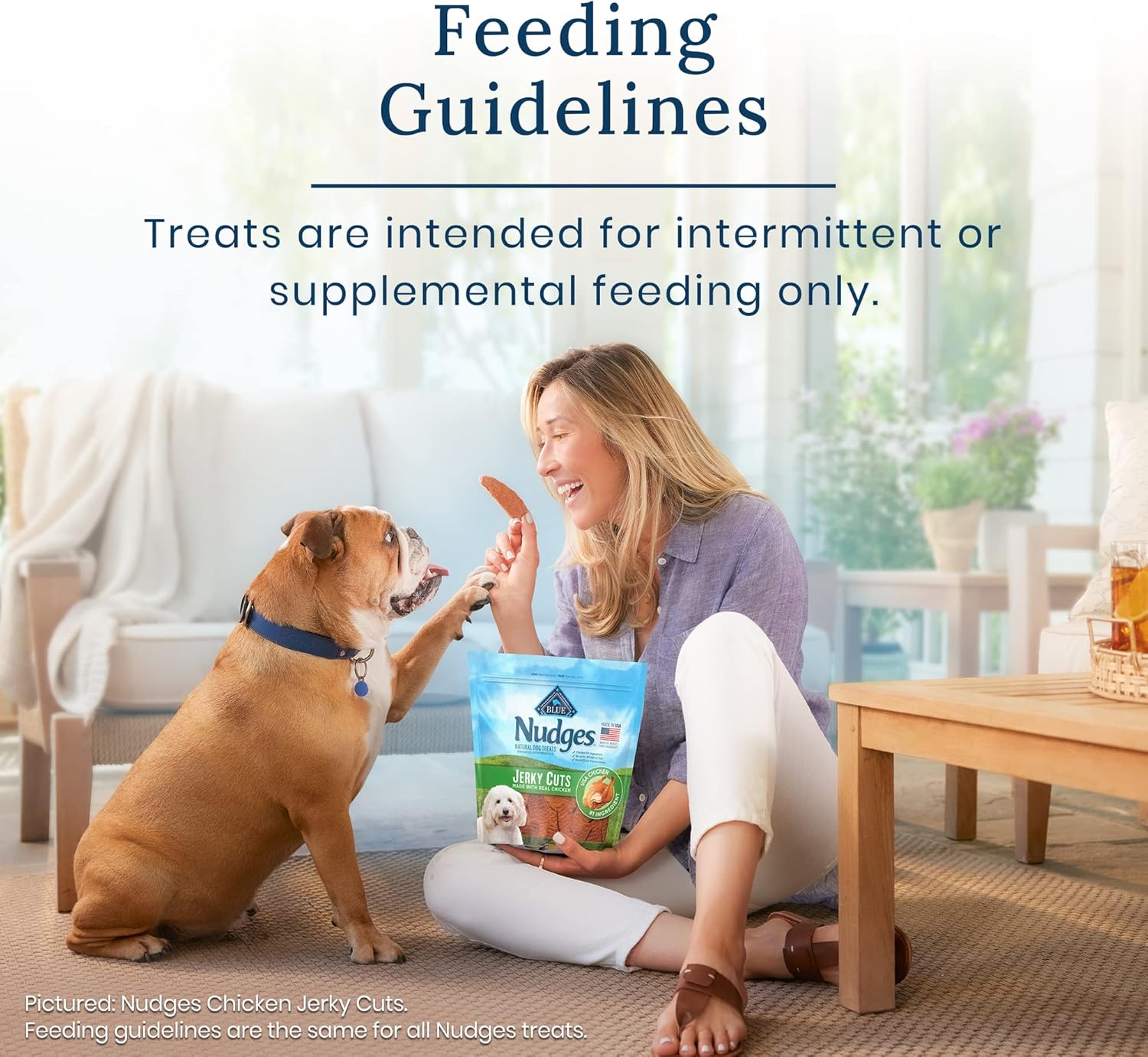 Blue Buffalo Nudges Homestyle Natural Dog Treats, Chicken and Pork, 12oz Bag