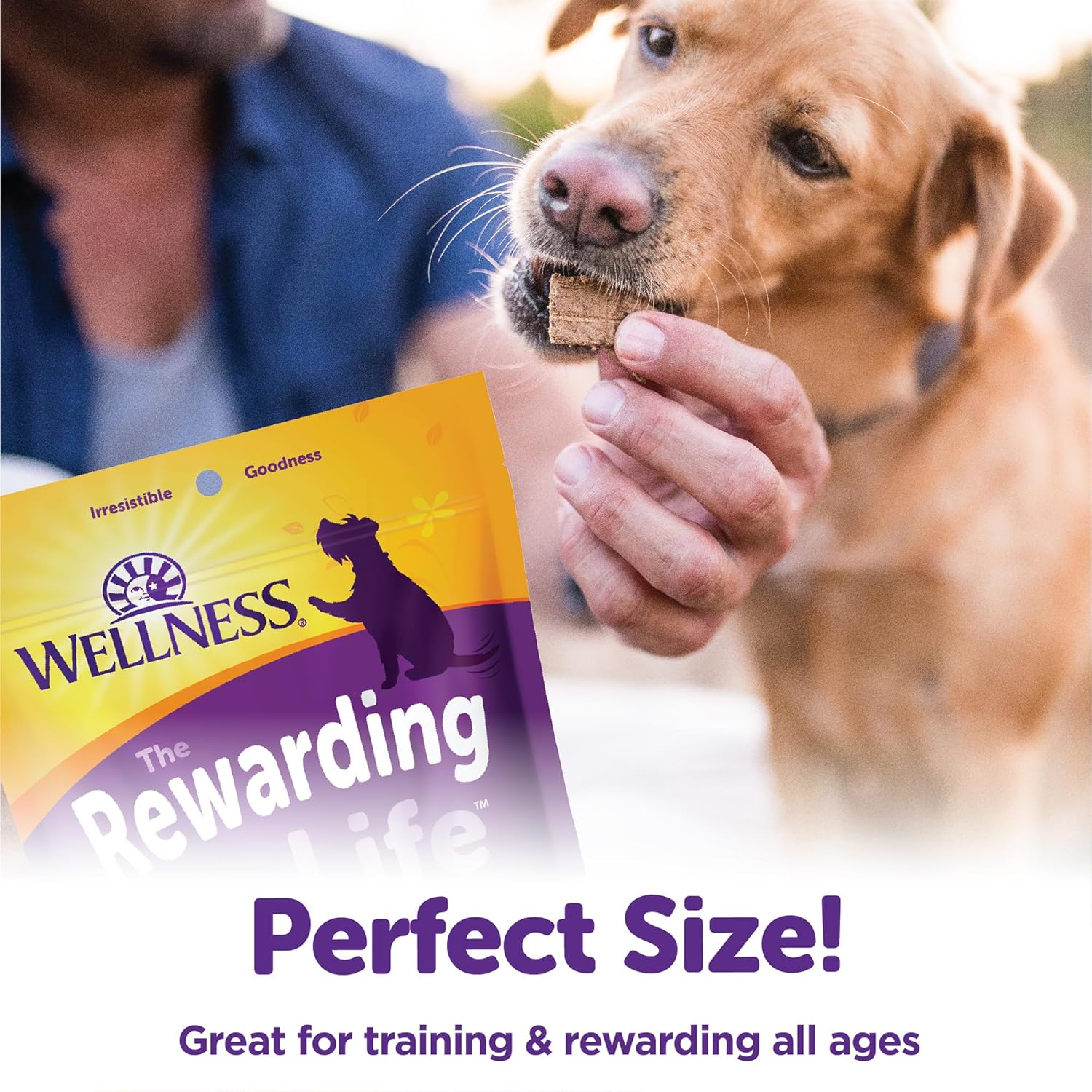 Wellness Rewarding Life Dog Treats, Natural, Training Treat, Grain Free, Soft Lamb & Salmon (6 Ounce bag)