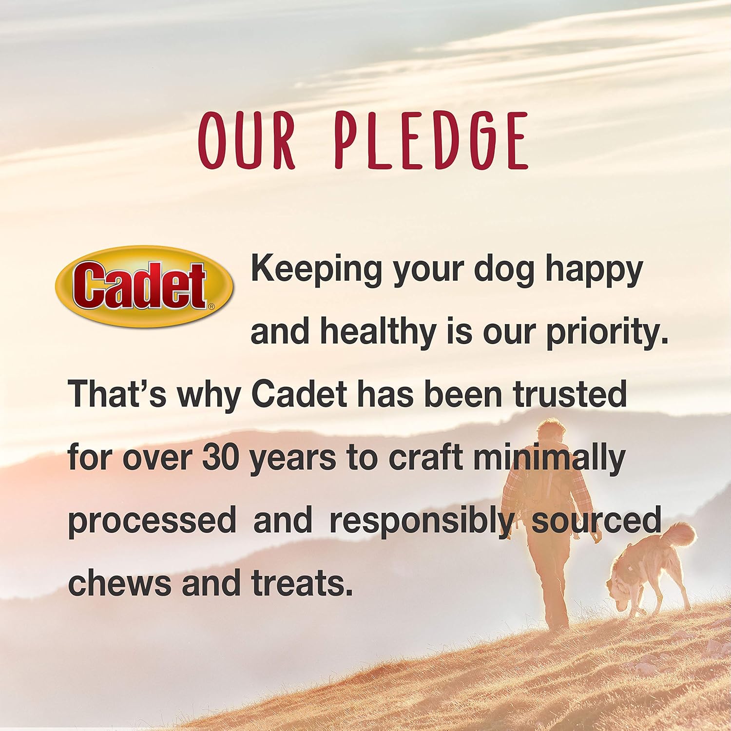Cadet Gourmet X-Large Triple-Flavored Beef Hide Shish Kabob Dog Treats – Healthy & Natural Chicken, Liver, and Sweet Potato Dog Treats for Dogs Over 30 Lbs., 10 in. (15 Count)