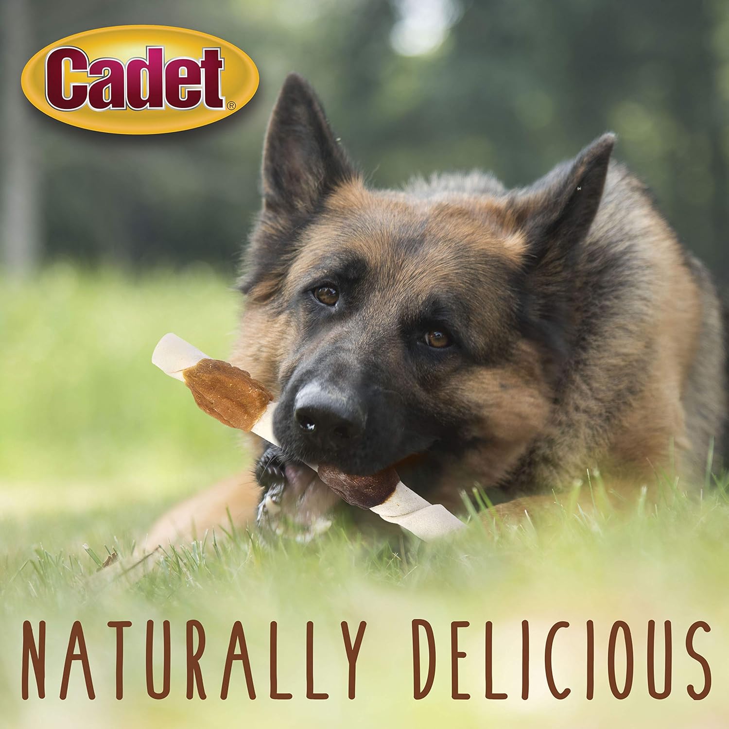 Cadet Gourmet X-Large Triple-Flavored Beef Hide Shish Kabob Dog Treats – Healthy & Natural Chicken, Liver, and Sweet Potato Dog Treats for Dogs Over 30 Lbs., 10 in. (15 Count)