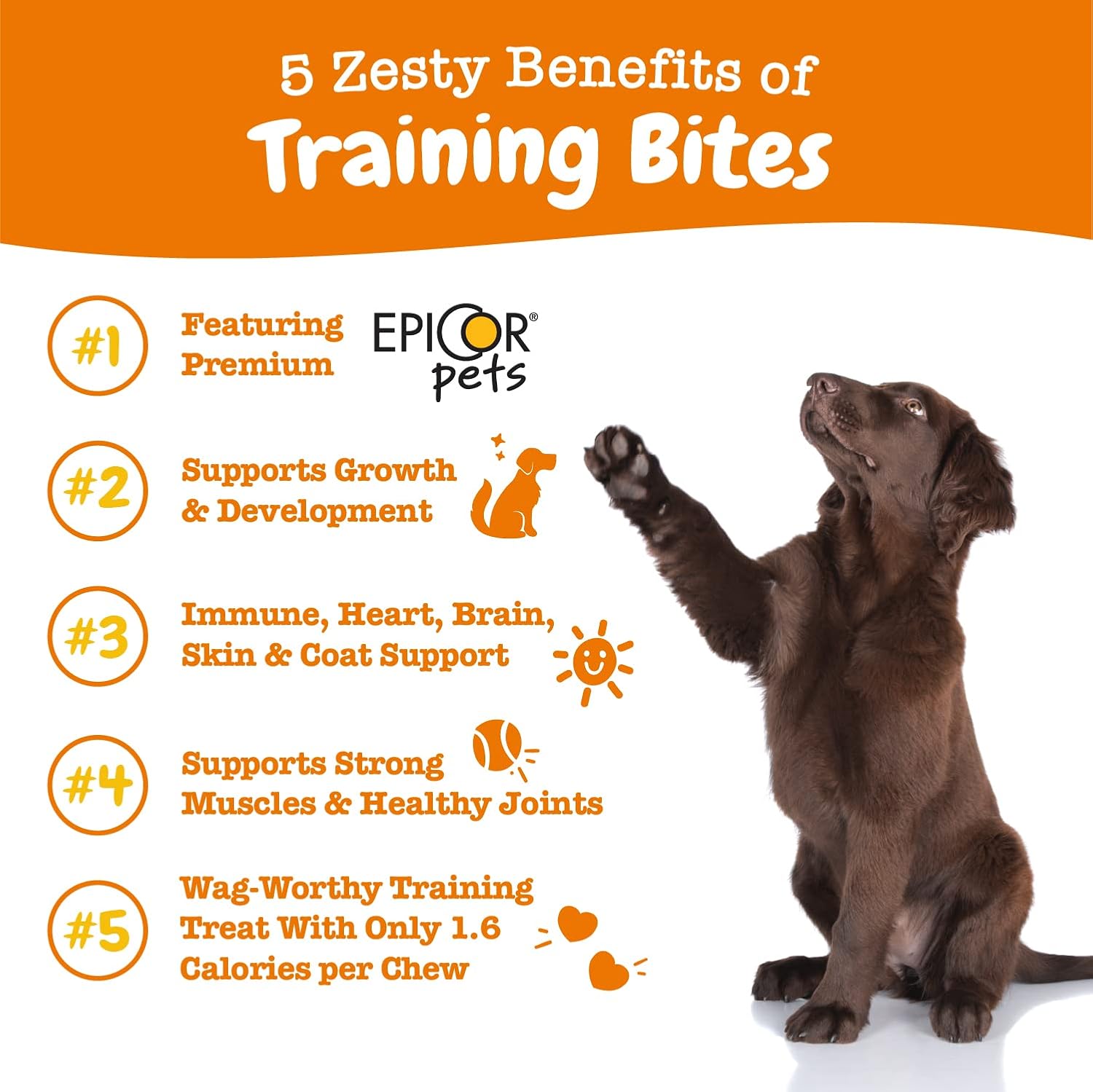 Zesty Paws Training Treats for Dogs & Puppies – Healthy Dog Treats for Hip, Joint & Muscle Health – Puppy Training Treats – for All Breeds and Ages – Dog Treats for Training – Bacon Flavor – 12oz