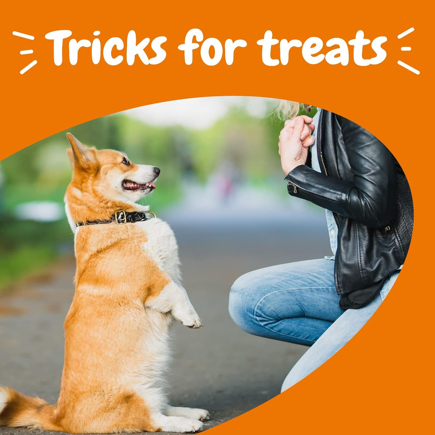 Zesty Paws Training Treats for Dogs & Puppies – Healthy Dog Treats for Hip, Joint & Muscle Health – Puppy Training Treats – for All Breeds and Ages – Dog Treats for Training – Bacon Flavor – 12oz