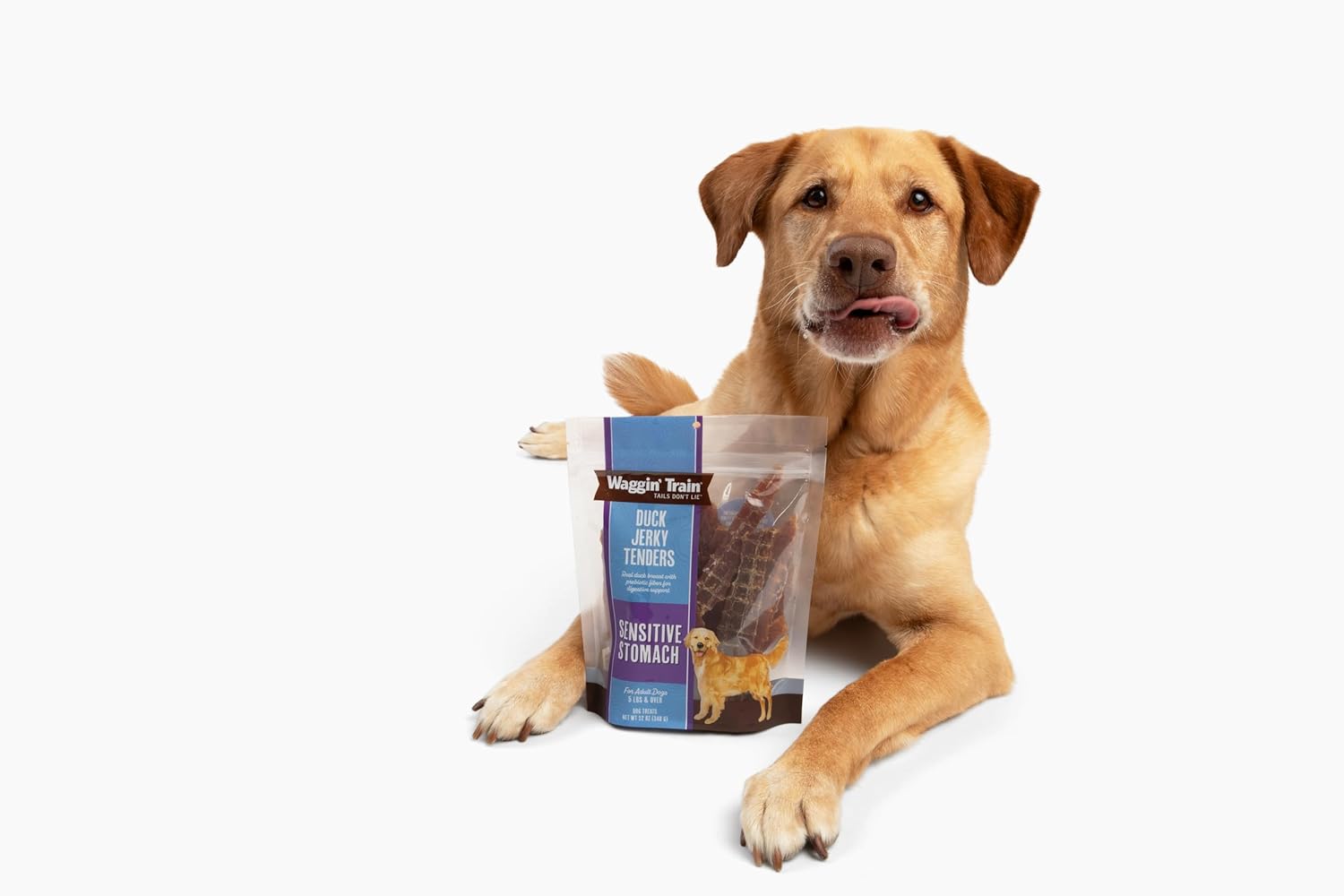 Waggin’ Train Duck Jerky Tenders for Sensitive Stomach for Dogs – 12 oz Pouch – Grain Free, High Protein Dog Treat