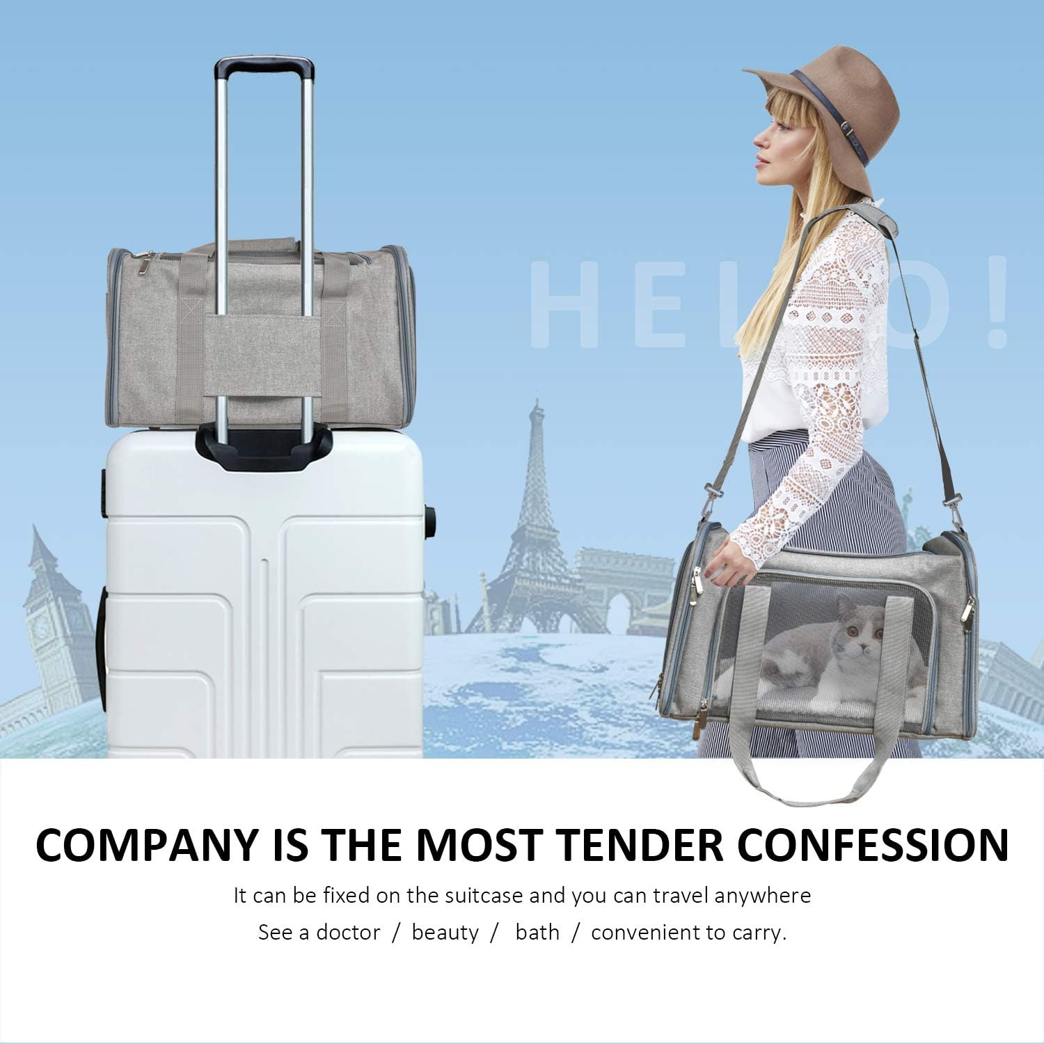 Cat, Dog Carrier for Small Medium Cats Puppies up to 15 Lbs, TSA Airline Approved Carrier Soft Sided, Collapsible Travel Puppy Carrier – Grey