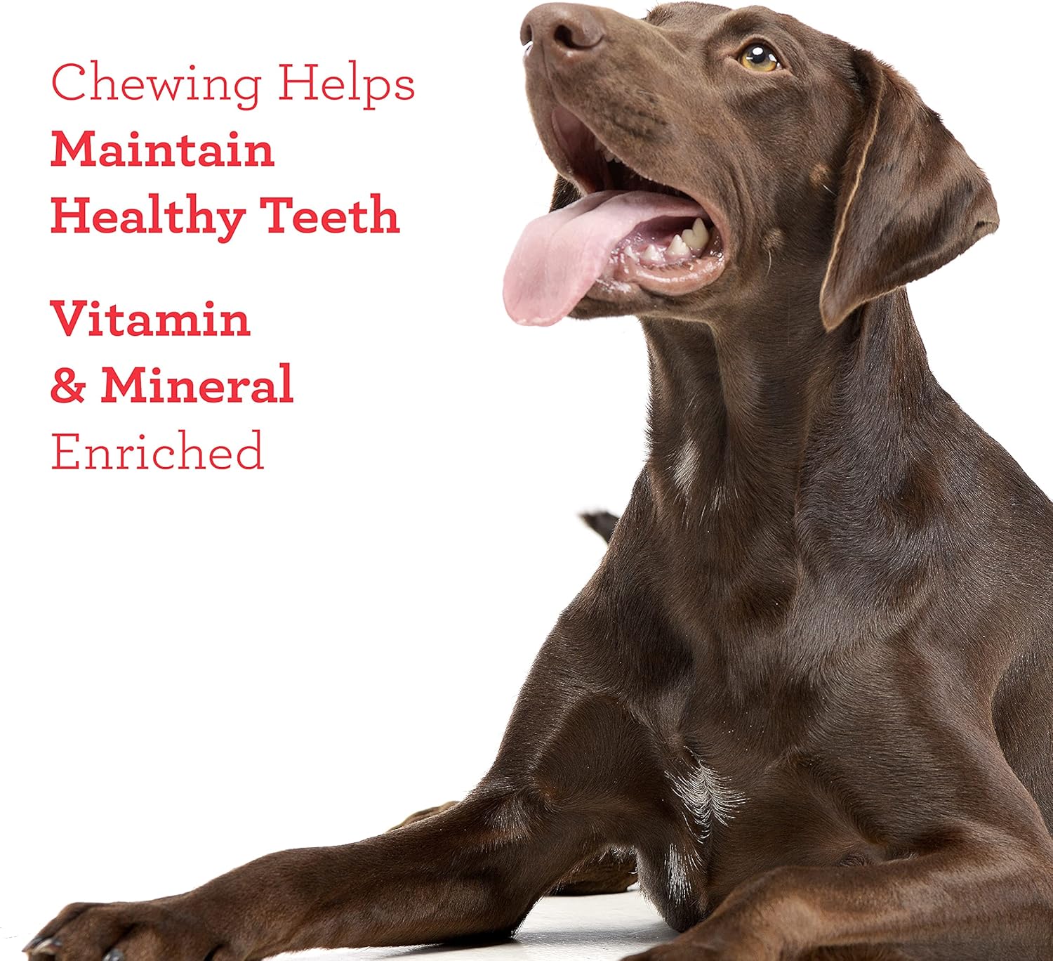 DreamBone RattleBall Small Chews 14 Count, Rawhide-Free Chews For Dogs, With Real Chicken Treats Inside