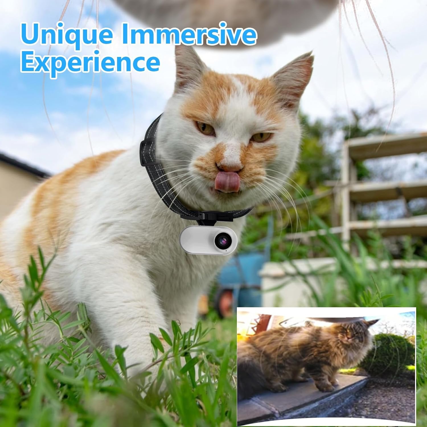 ehomful HD 1080P Cat Camera Collar with Video Record Wireless Mini Sport cam,Small Action Cameras,Body Camera for Pet Supplies/Stuff,Outdoor/Inoor Birthday Gift No WiFi with SD Card