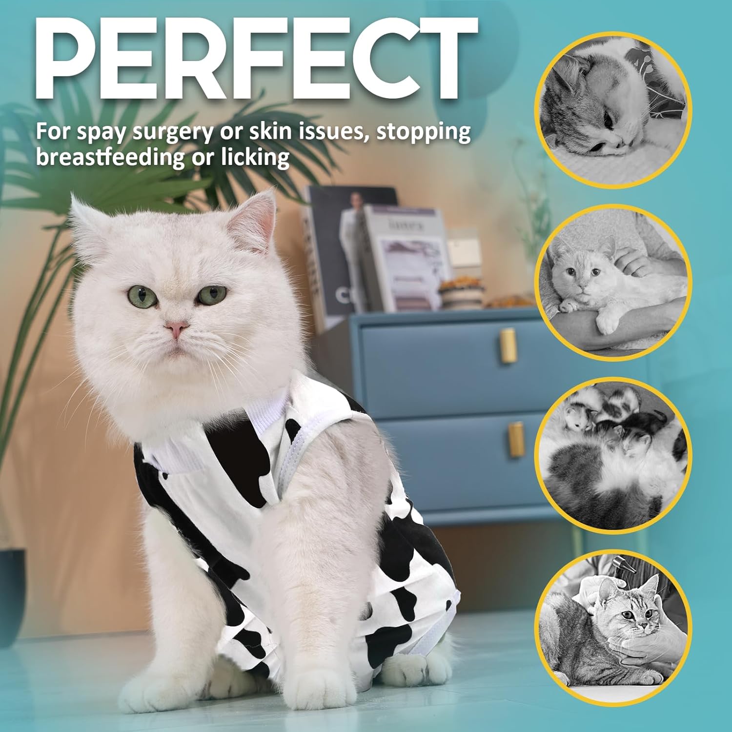 Avont Cat Recovery Suit – Kitten Onesie for Cats After Surgery, Cone of Shame Alternative Surgical Spay Suit for Female Cat, Post-Surgery or Skin Diseases Protection -Cow(M)
