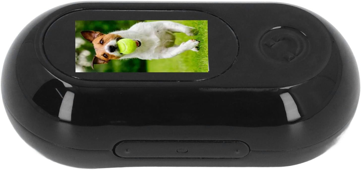 Jiawu Cat Collar Camera, HD 1080P Pet Camera Collar, 120° Wide Angle Dog Collar, Mini Sport Action Camera, Portable Camera for Cats, Dogs, Outdoor, Inoor (Black)