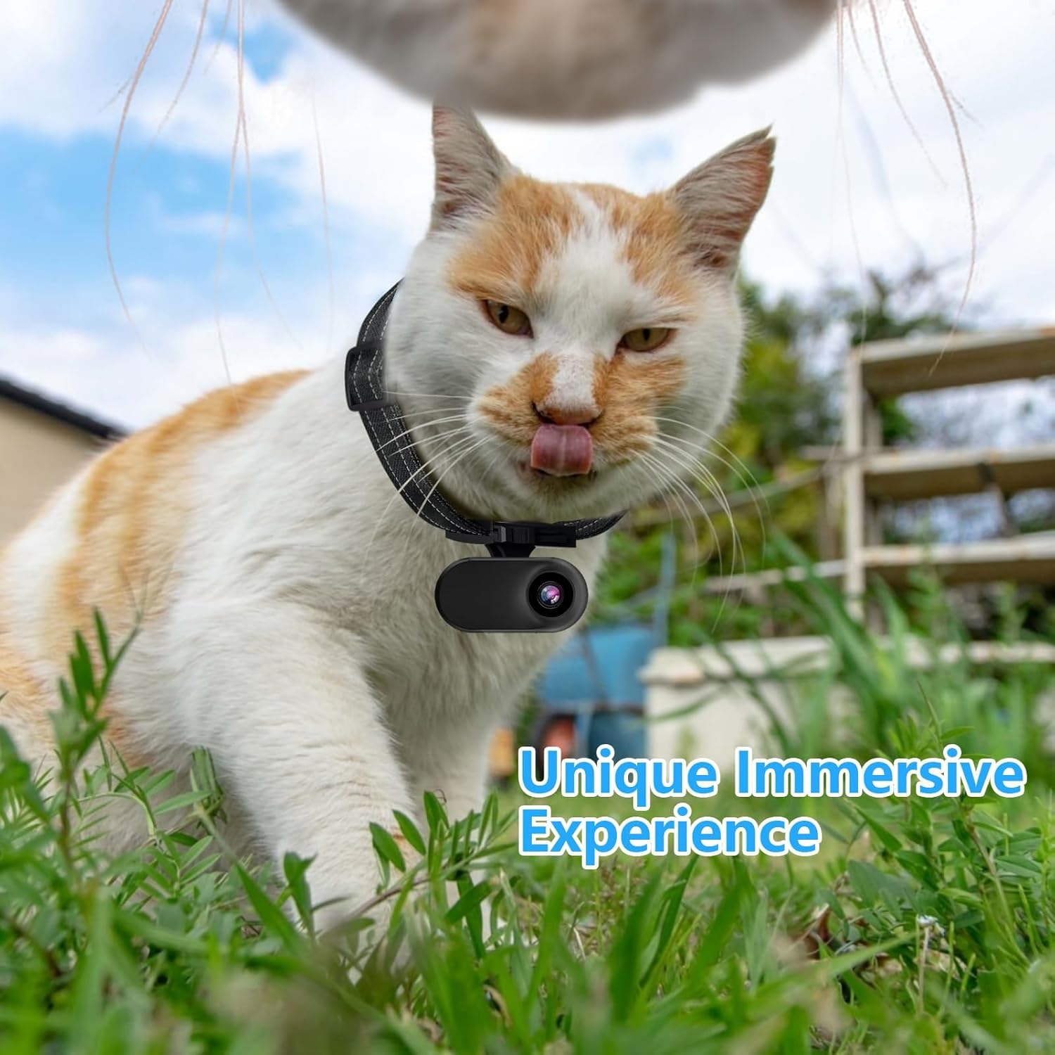 HD 1080P Cat Camera Collar with Video Record Wireless Mini Sport Cam,Small Action Cameras,Body Camera for Pet Supplies/Stuff,Outdoor/Inoor Birthday Gift No WiFi, t-ydxj-0618