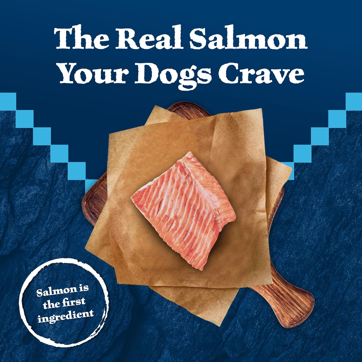 Blue Buffalo Wilderness Trail Treats High Protein Grain Free Dog Biscuits Crunchy Dog Treats, Salmon Recipe, 10-oz Bag