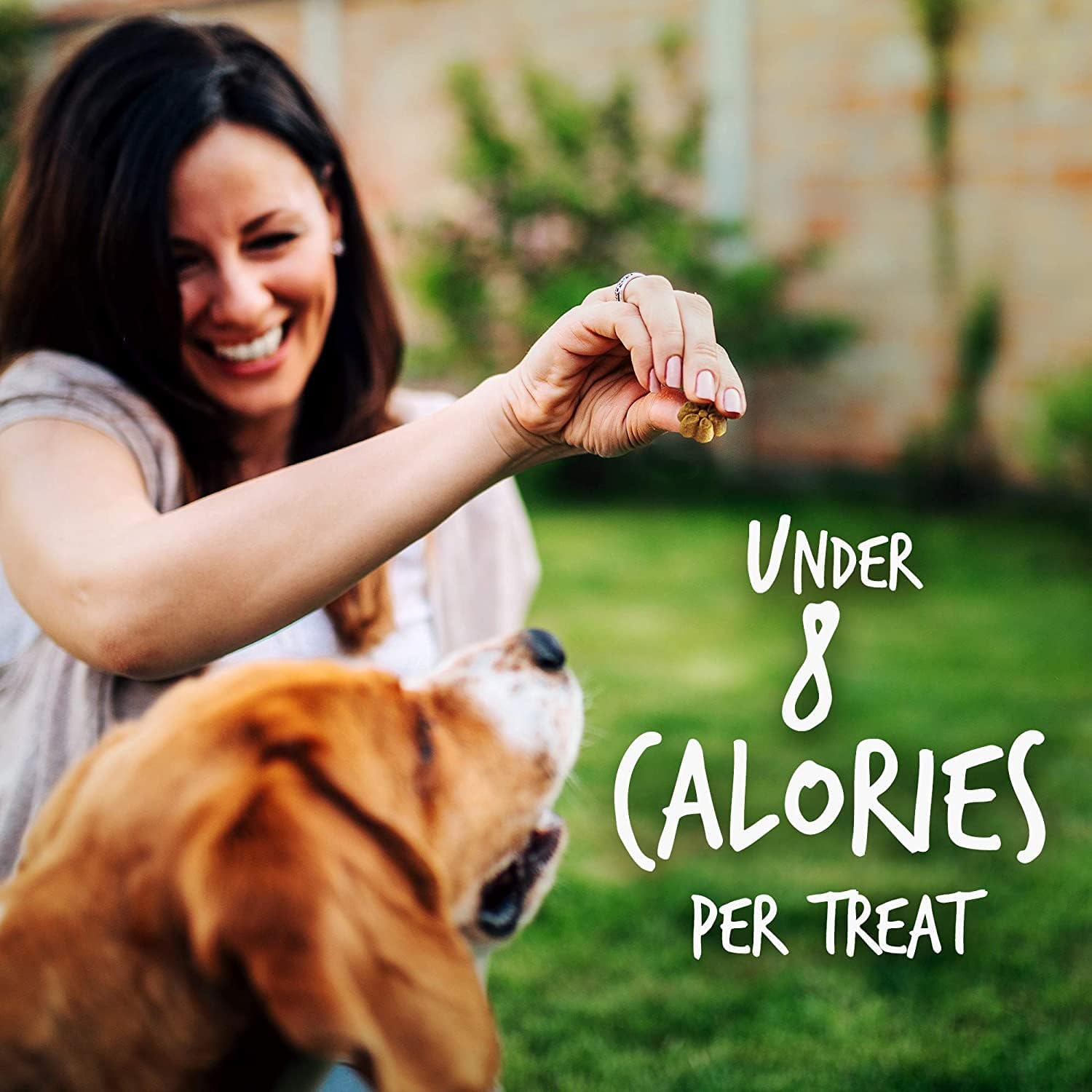 Fruitables Baked Dog Treats, Healthy Pumpkin Treat for Dogs, Low Calorie & Delicious, Free of Wheat, Corn and Soy, Made in the USA, Pumpkin and Apple Flavor, 7oz