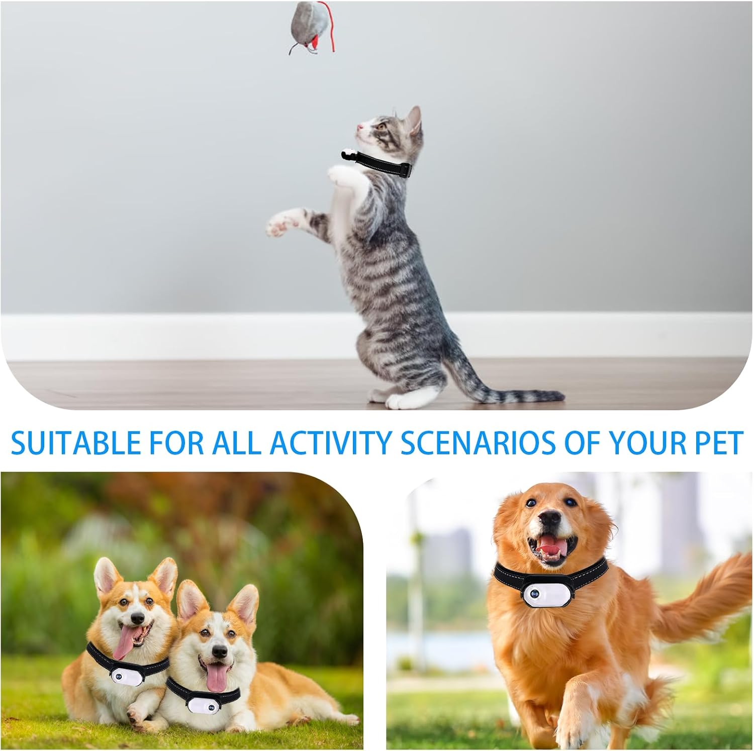 Upgrade Cat Camera Collar with 128GB SD Card, HD 1080P Pet Collar Camera Cat Video Camera Mini Collar Camera for Dogs Cats Present Indoor/Outdoor