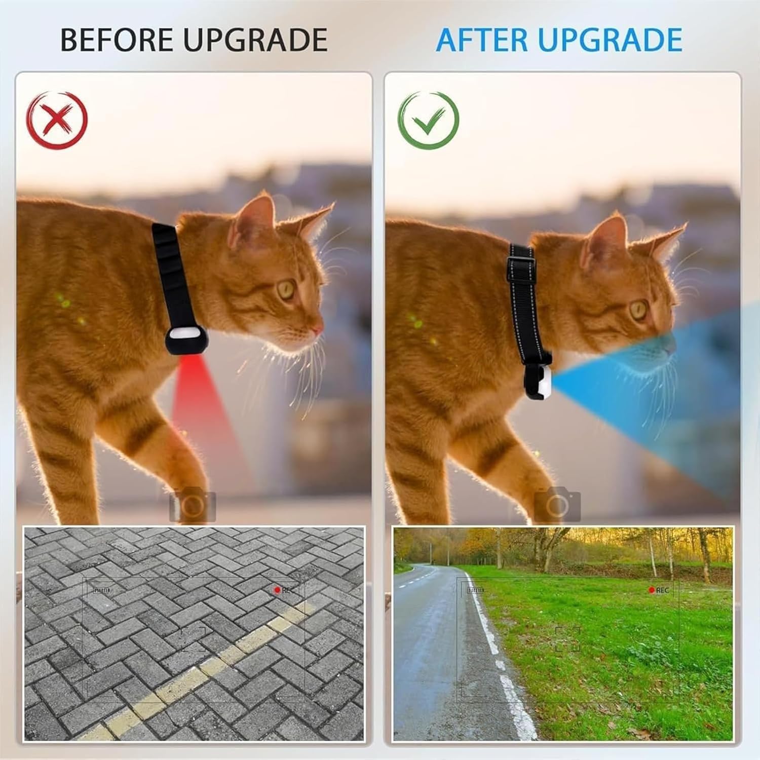 Catcam Pro, Cat Cam Pro Pet Collar Camera, Catcam Pro Camera 2.0 for Cats & Dogs, CatCameraPro, Waterproof 1080p Wireless Mini Sport Cam, Wearable Collar Dog Pet Cam (White-8G)