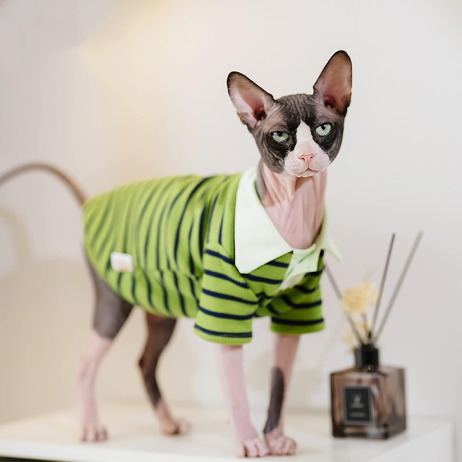 Sphynx Cat Shirt Cotton Hairless Kitten Polo T-Shirt with Sleeves Pullover Cat Pajamas for Sphynx Cornish Rex, Devon Rex, Peterbald (Green Black Polo, X-Large)