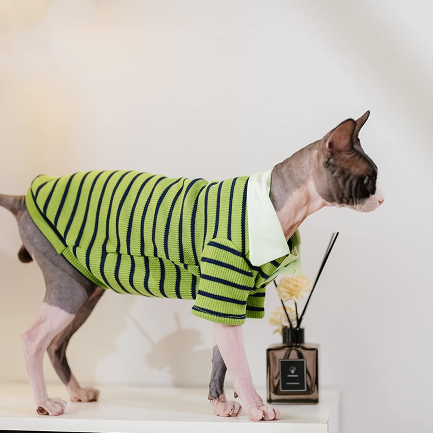 Sphynx Cat Shirt Cotton Hairless Kitten Polo T-Shirt with Sleeves Pullover Cat Pajamas for Sphynx Cornish Rex, Devon Rex, Peterbald (Green Black Polo, X-Large)