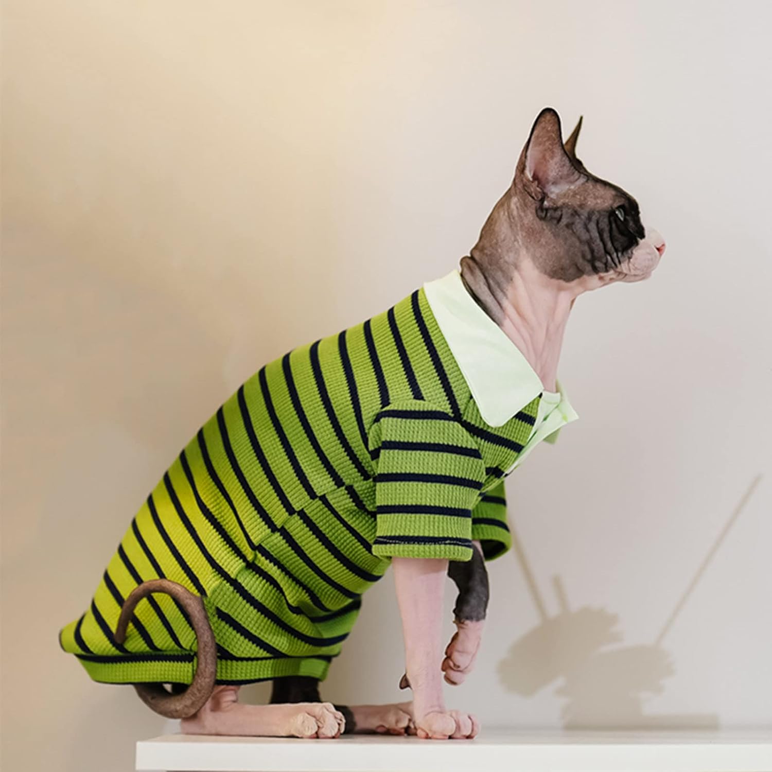 Sphynx Cat Shirt Cotton Hairless Kitten Polo T-Shirt with Sleeves Pullover Cat Pajamas for Sphynx Cornish Rex, Devon Rex, Peterbald (Green Black Polo, X-Large)