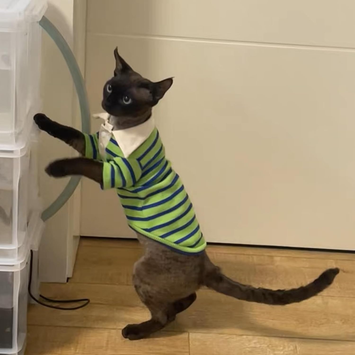 Sphynx Cat Shirt Cotton Hairless Kitten Polo T-Shirt with Sleeves Pullover Cat Pajamas for Sphynx Cornish Rex, Devon Rex, Peterbald (Green Black Polo, X-Large)