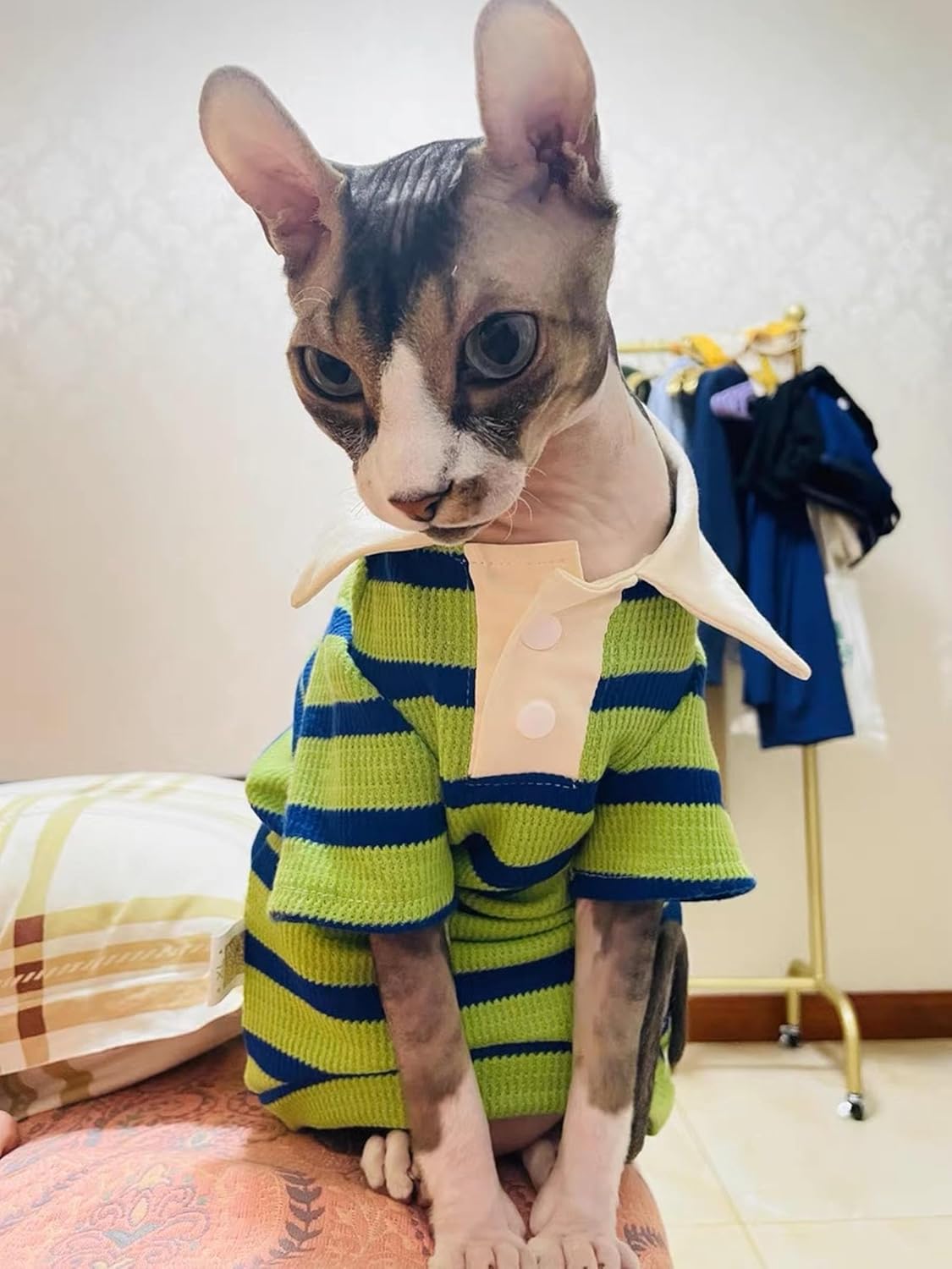 Sphynx Cat Shirt Cotton Hairless Kitten Polo T-Shirt with Sleeves Pullover Cat Pajamas for Sphynx Cornish Rex, Devon Rex, Peterbald (Green Black Polo, X-Large)