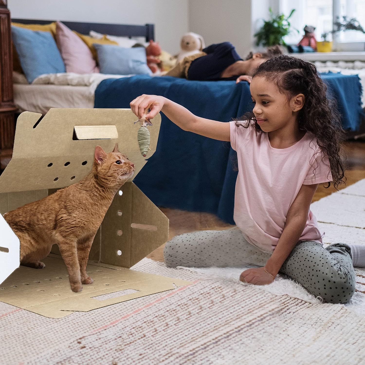 Disposable Cardboard Pet Carrier 12/Case