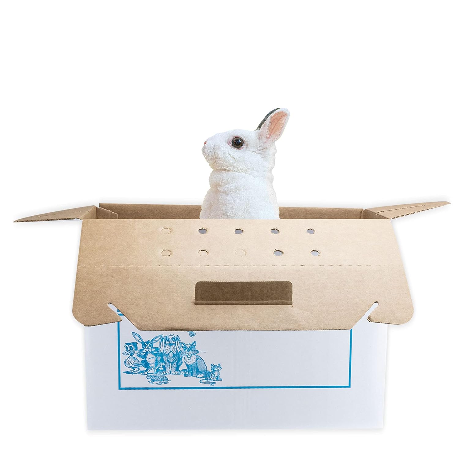 Disposable Cardboard Pet Carrier 12/Case
