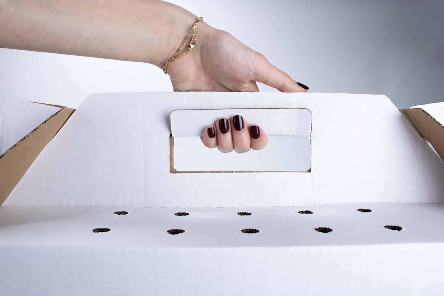 Disposable Cardboard Pet Carrier 12/Case