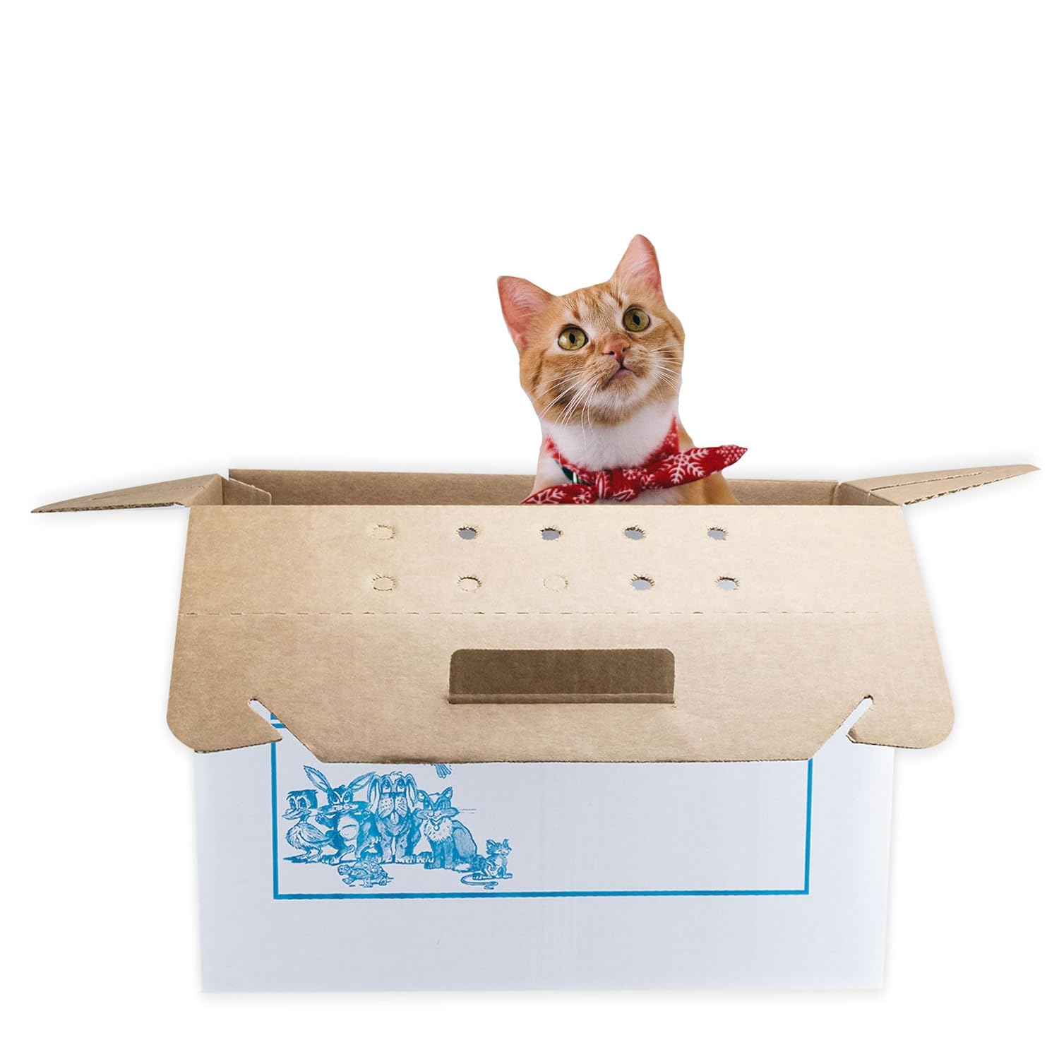 Disposable Cardboard Pet Carrier 12/Case