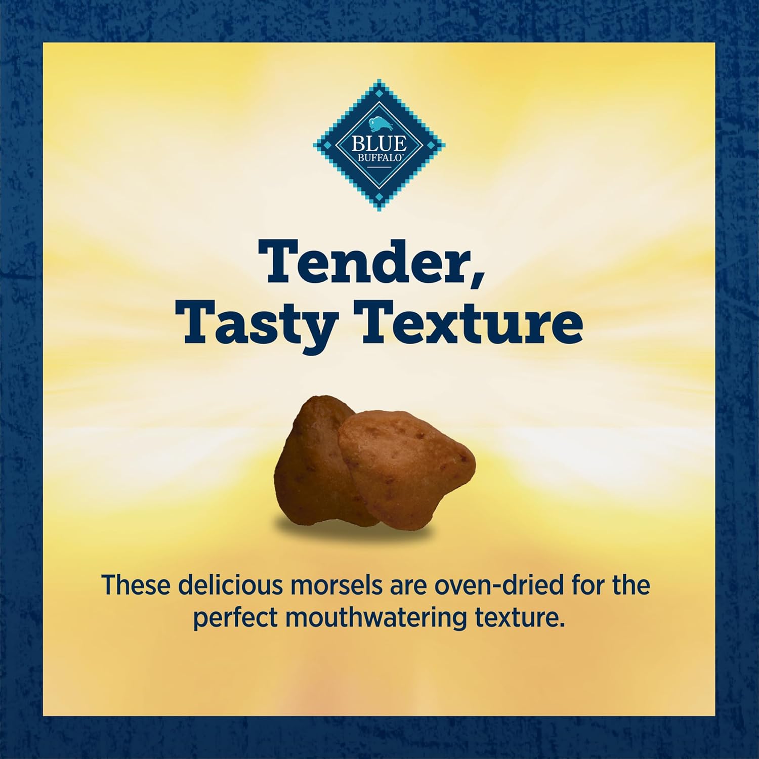 Blue Buffalo True Chews Premium Morsels Dog Treats, Made in The USA with Natural Ingredients, Steak, 10-oz Bag