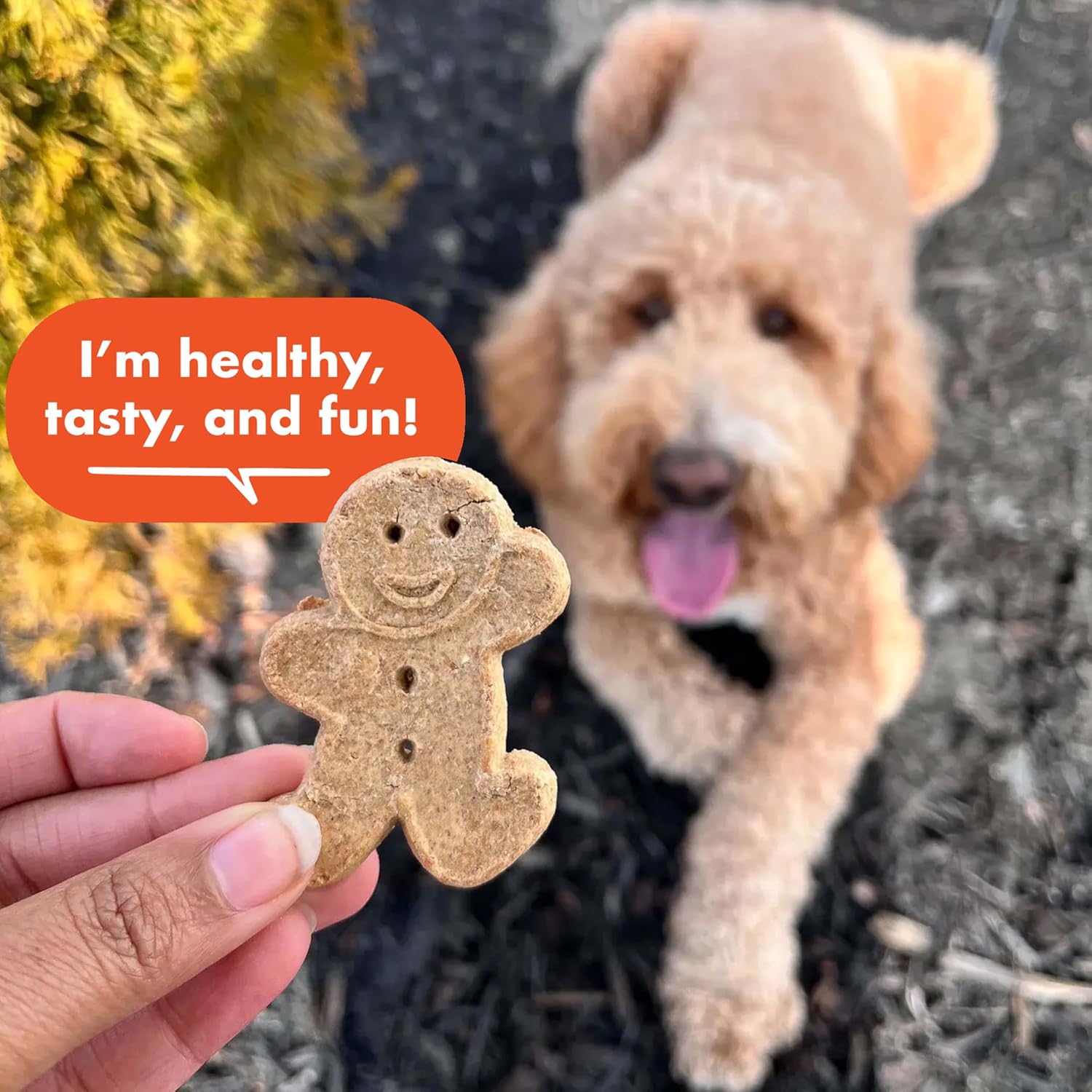 Buddy Biscuits 14 oz Box of Grain-Free Crunchy Dog Treats Made with Natural Peanut Butter