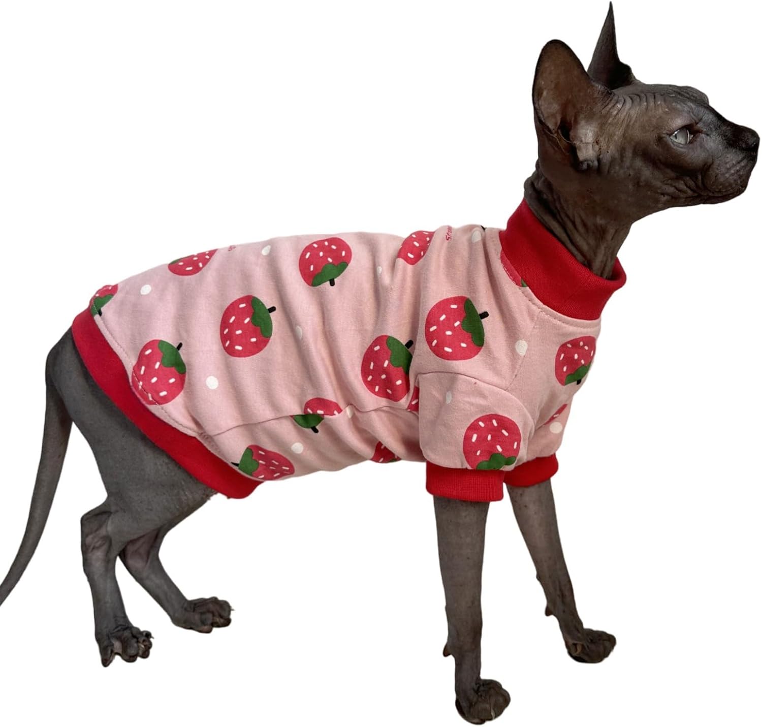 Sphynx Cat Clothes Vest Hairless Cat T-Shirts Pet Kitten Clothes Kitten Shirts Vest Cats & Small Dogs Apparel (Strawberry, Large)