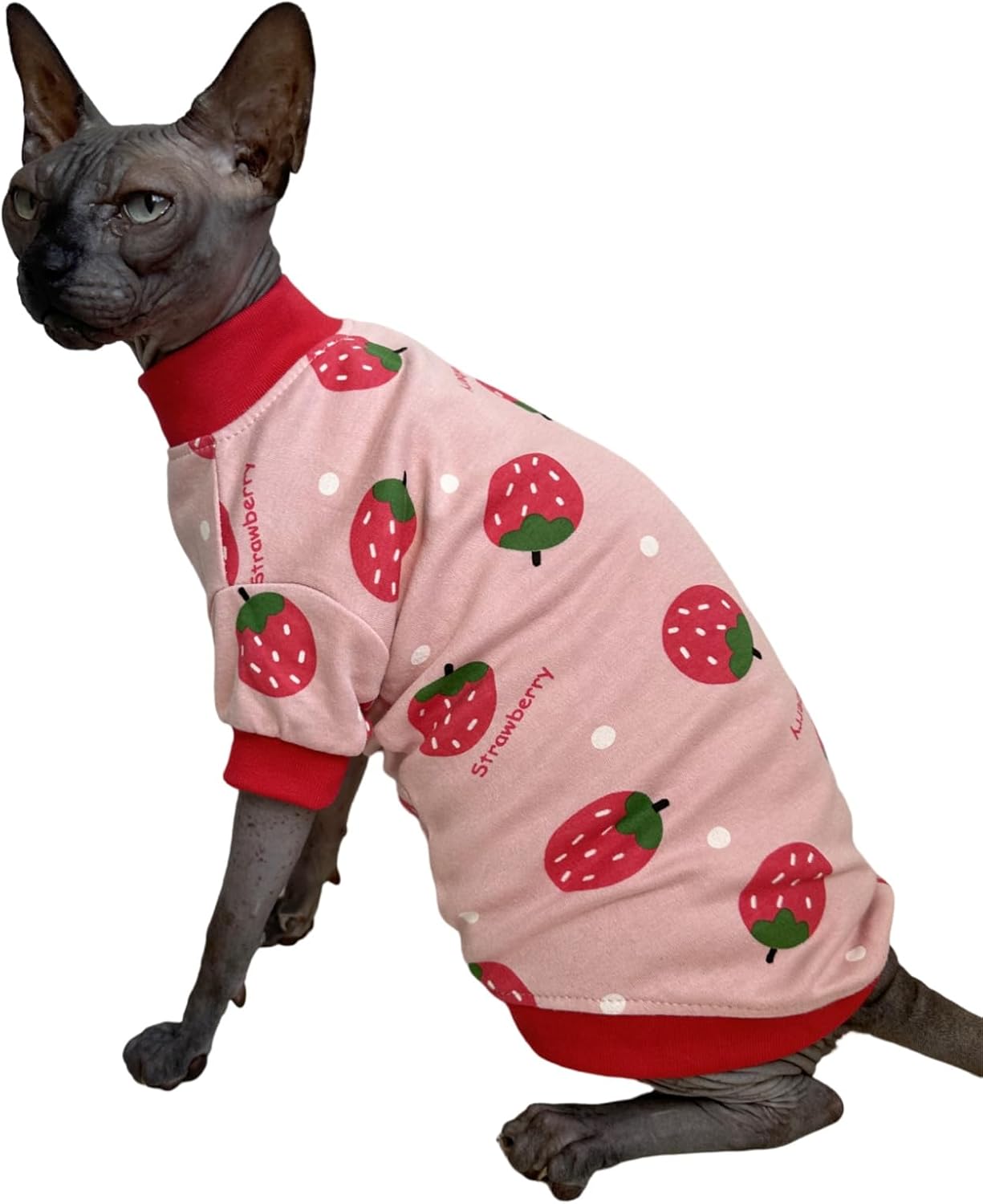 Sphynx Cat Clothes Vest Hairless Cat T-Shirts Pet Kitten Clothes Kitten Shirts Vest Cats & Small Dogs Apparel (Strawberry, Large)