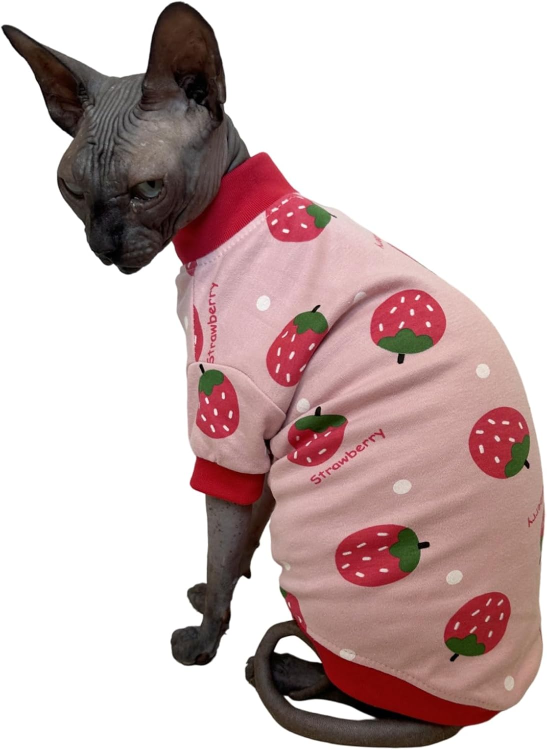 Sphynx Cat Clothes Vest Hairless Cat T-Shirts Pet Kitten Clothes Kitten Shirts Vest Cats & Small Dogs Apparel (Strawberry, Large)