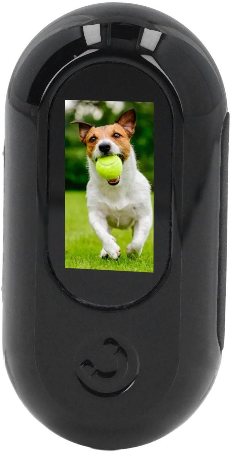 Cat Video Camera,Pet Collar Camera 120 Deg Lens OTG Connection Video Recording Adjustable Magnetic Cat Sport Camera for Outdoor 1920x1080P (Black)