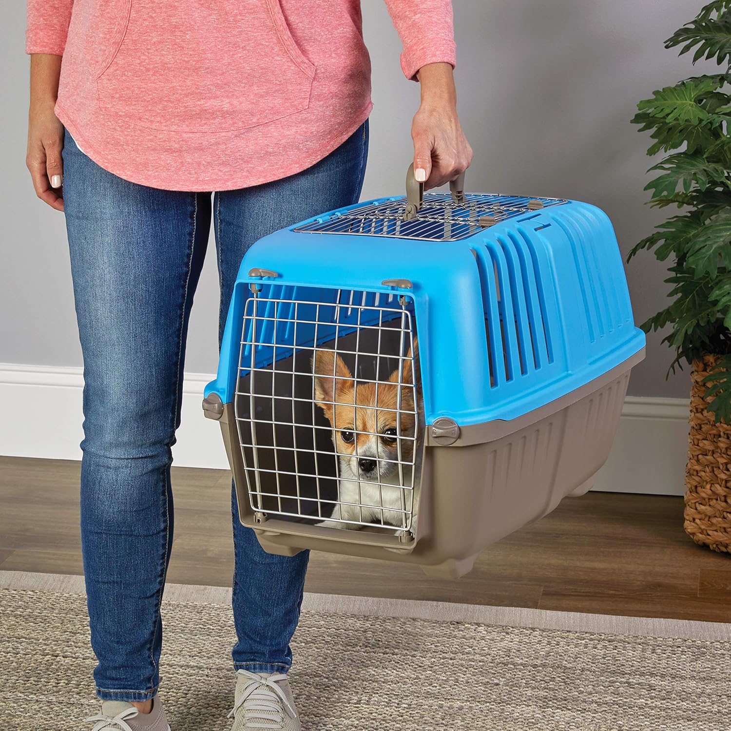 MidWest Homes for Pets Spree Travel Pet Carrier, Dog Carrier Features Easy Assembly and Not The Tedious Nut & Bolt Assembly of Competitors, Ideal for Small Dogs & Cats, Blue, 24-Inch, Top Door