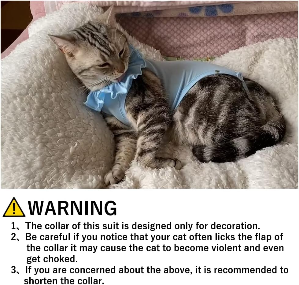 Cat Recovery Suit for Abdominal Wounds and Skin Diseases,Breathable Surgical Recovery Shirt After Surgery Wear Anti Licking Wounds,E-Collar Alternative for Female Cats Kitten(RSC01-green-m)