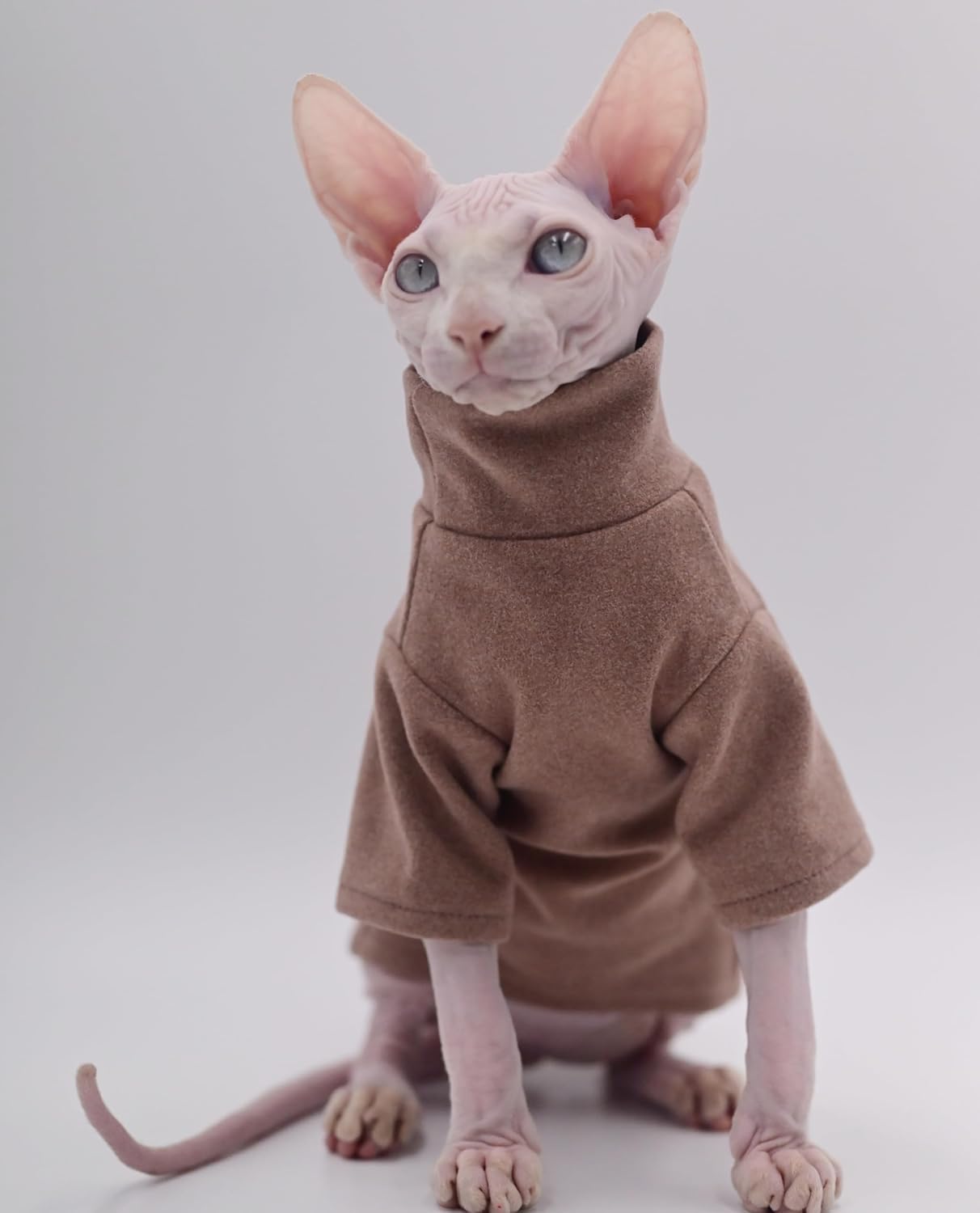 DUOMASUMI Sphynx Cat Clothes Self-Heating Warm Thermal Underwear for Hairless Cats, Kittens and Small Dogs (Black-L)