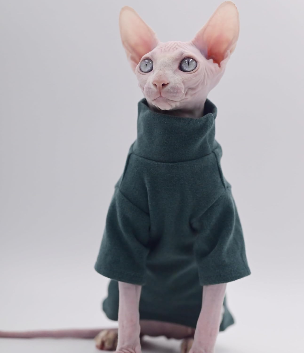 DUOMASUMI Sphynx Cat Clothes Self-Heating Warm Thermal Underwear for Hairless Cats, Kittens and Small Dogs (Black-L)