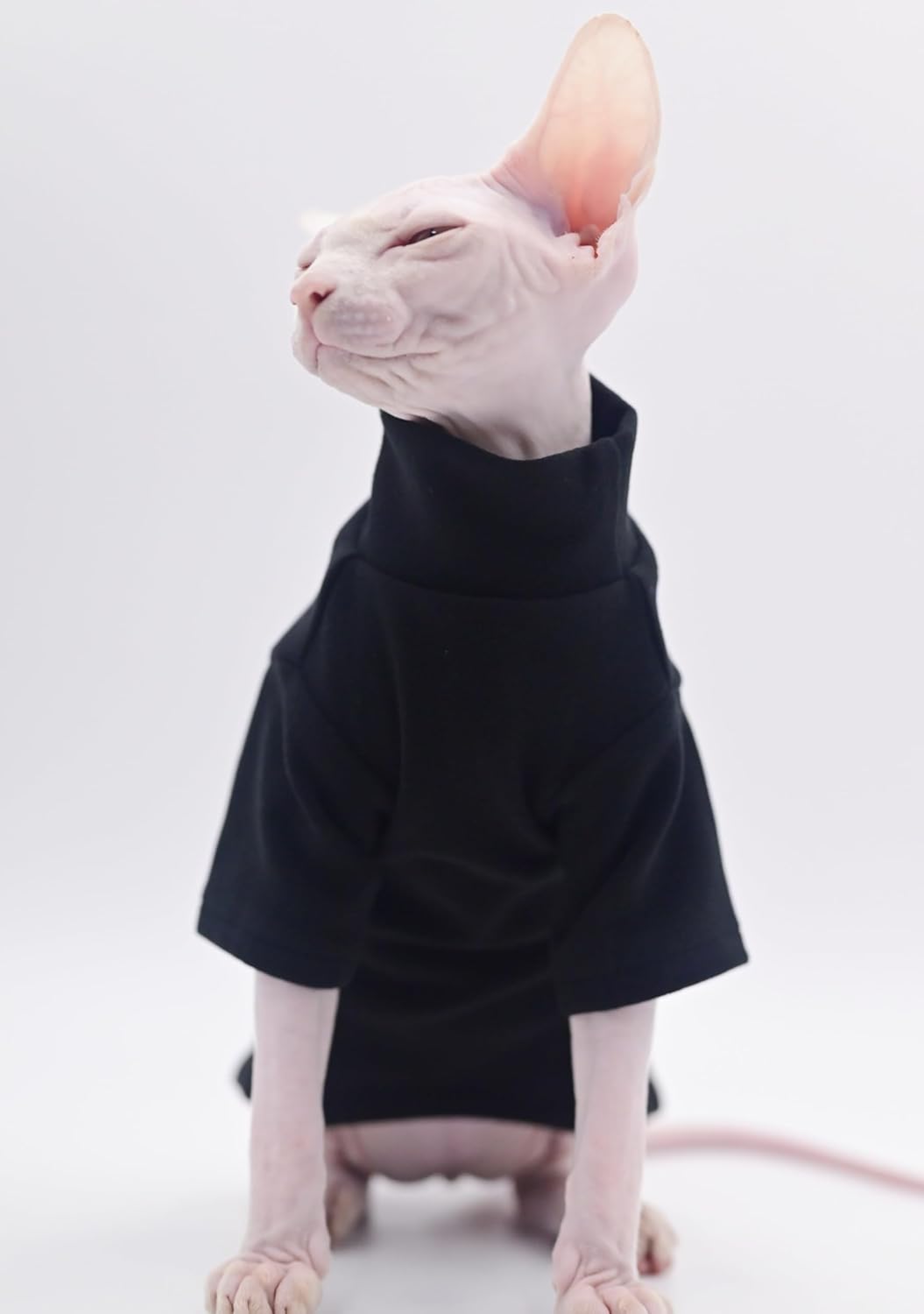 DUOMASUMI Sphynx Cat Clothes Self-Heating Warm Thermal Underwear for Hairless Cats, Kittens and Small Dogs (Black-L)