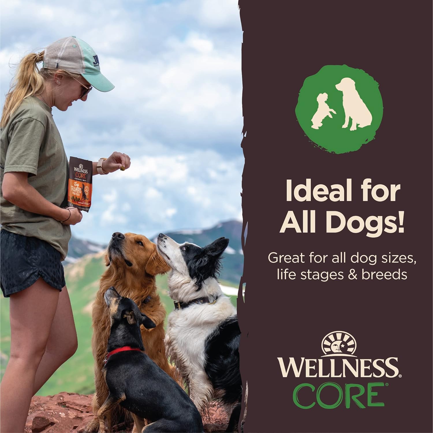 Wellness CORE Tiny Trainers Dog Treats, Natural, Training Treat, Grain Free, Lamb & Apple (6 Ounce Bag)