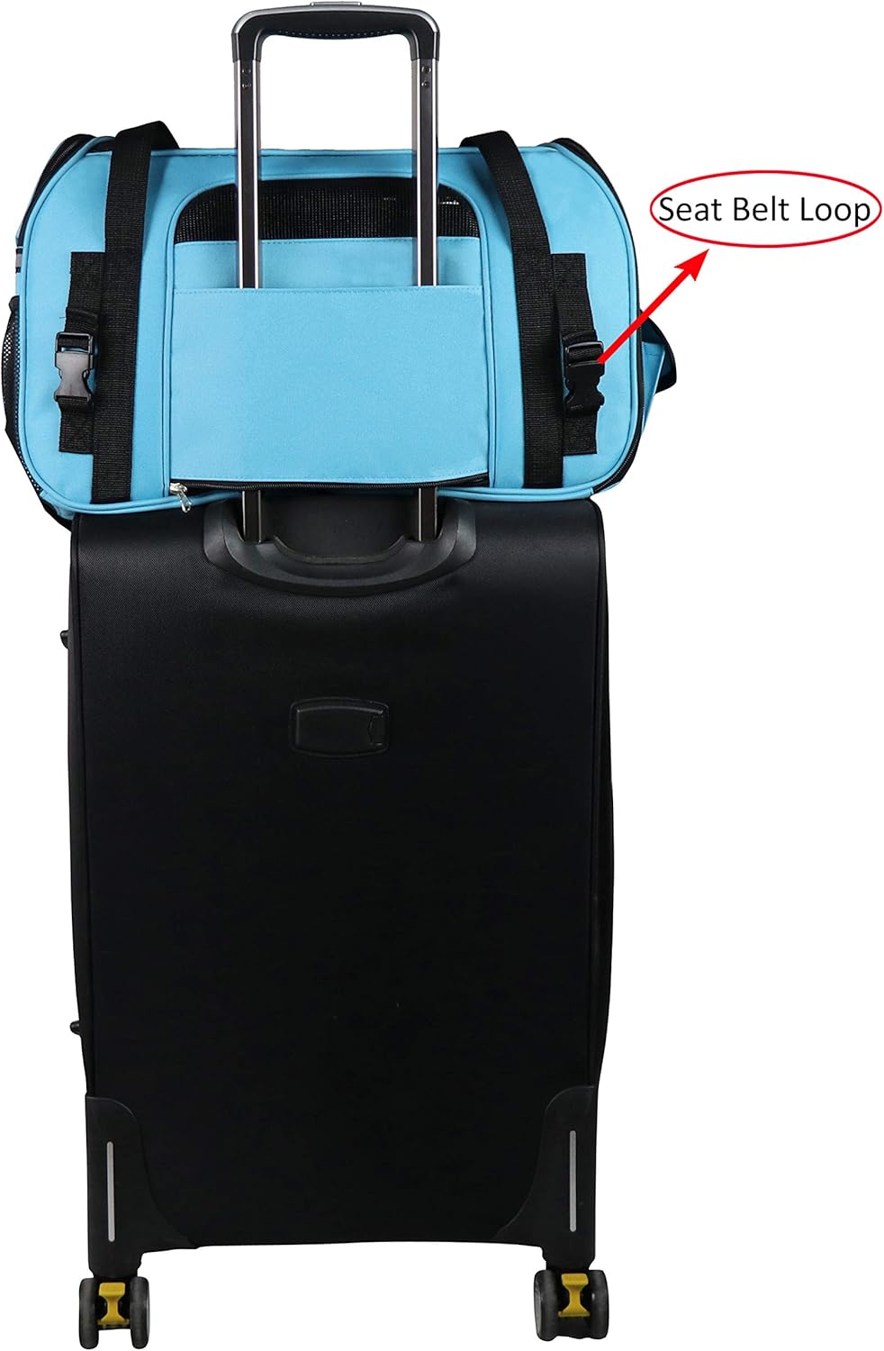 EliteField Soft Sided Pet Carrier (3 Year Warranty, Airline Approved), Multiple Sizes and Colors Available (Medium: 17″ L x 9″ W x 12″ H, Sky Blue)