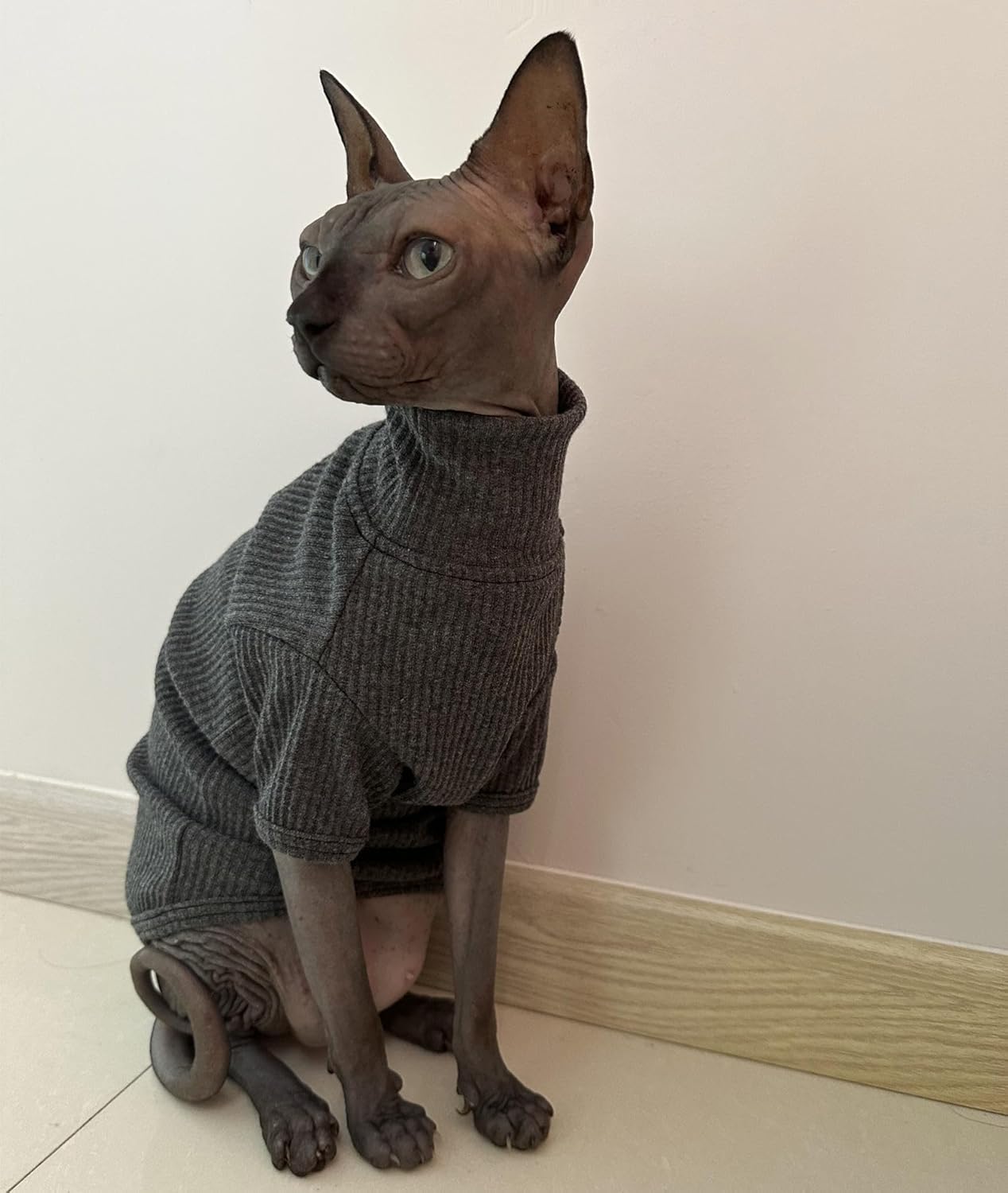 Sphynx Cats Shirt Cat Turtleneck Cotton Sweater Pullover Kitten T-Shirts with Sleeves Cat Pajamas Jumpsuit for Sphynx Cornish Rex, Devon Rex, Peterbald (Medium (Pack of 1), Deep Grey)