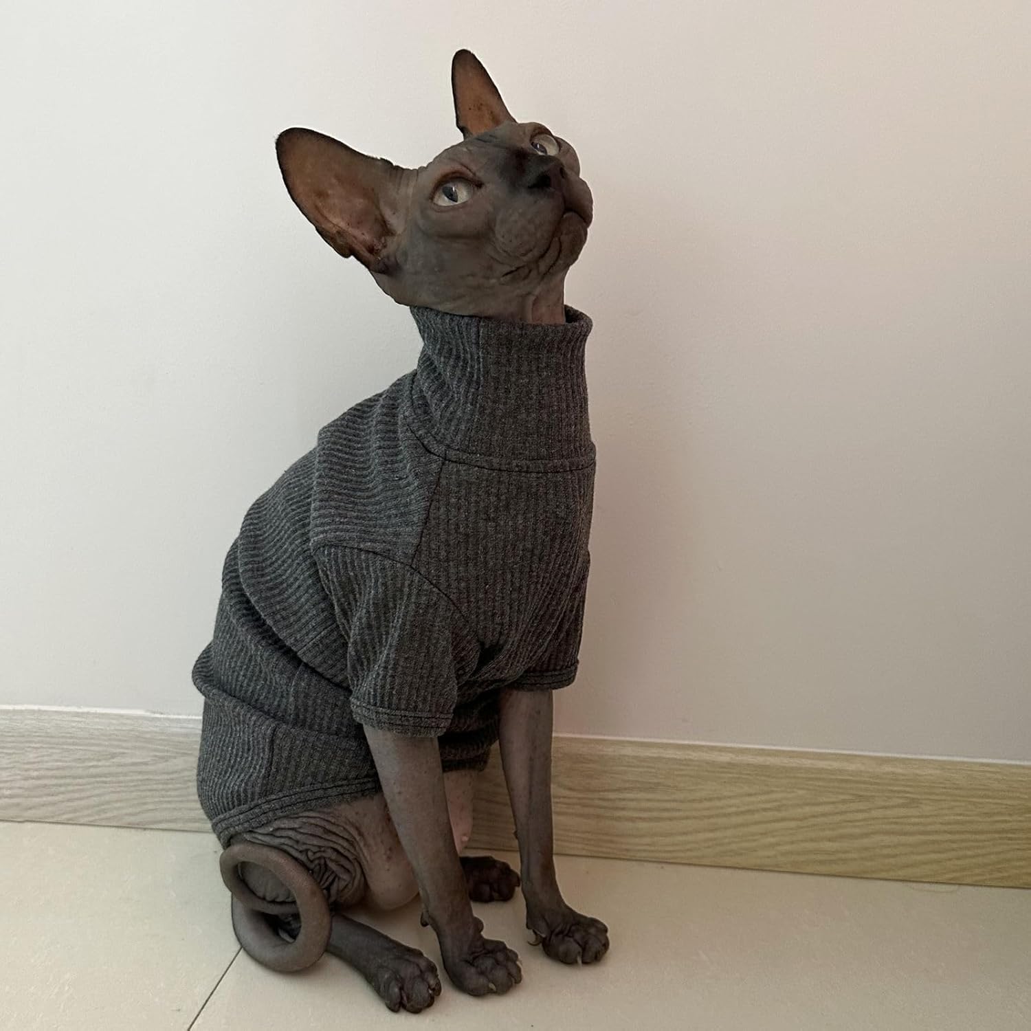 Sphynx Cats Shirt Cat Turtleneck Cotton Sweater Pullover Kitten T-Shirts with Sleeves Cat Pajamas Jumpsuit for Sphynx Cornish Rex, Devon Rex, Peterbald (Medium (Pack of 1), Deep Grey)