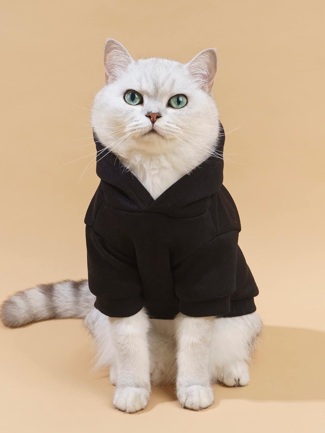 QWINEE Dog Hoodie Dog Shirt Sweatshirt Stylish Dog Clothes for Cat Kitten Puppy Small Medium Large Dogs Black Medium