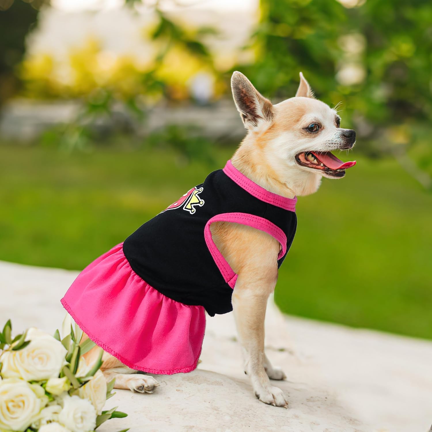 2 Pieces Dog Dress Cute Princess Love Pattern Spring Summer Pet Puppy Clothes for Small Dogs Cats Outfits (Rose,Purple, XXS)
