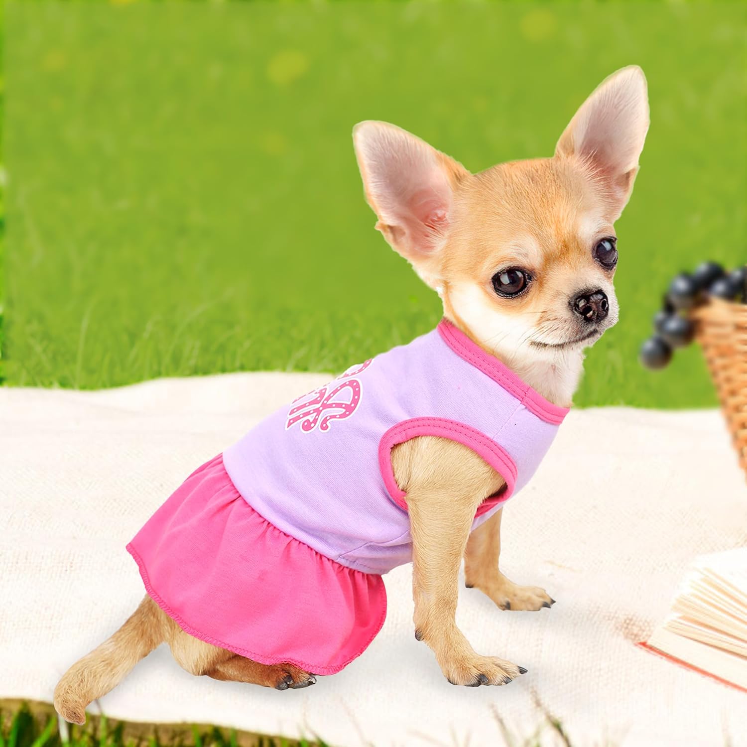 2 Pieces Dog Dress Cute Princess Love Pattern Spring Summer Pet Puppy Clothes for Small Dogs Cats Outfits (Rose,Purple, XXS)
